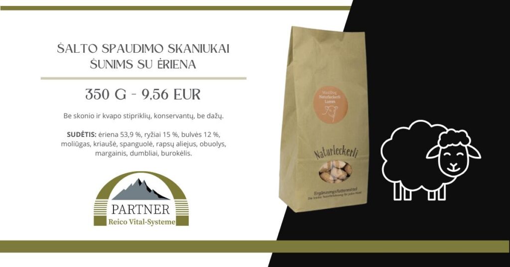 528065907_25256923073897905_6356904827302188875_n