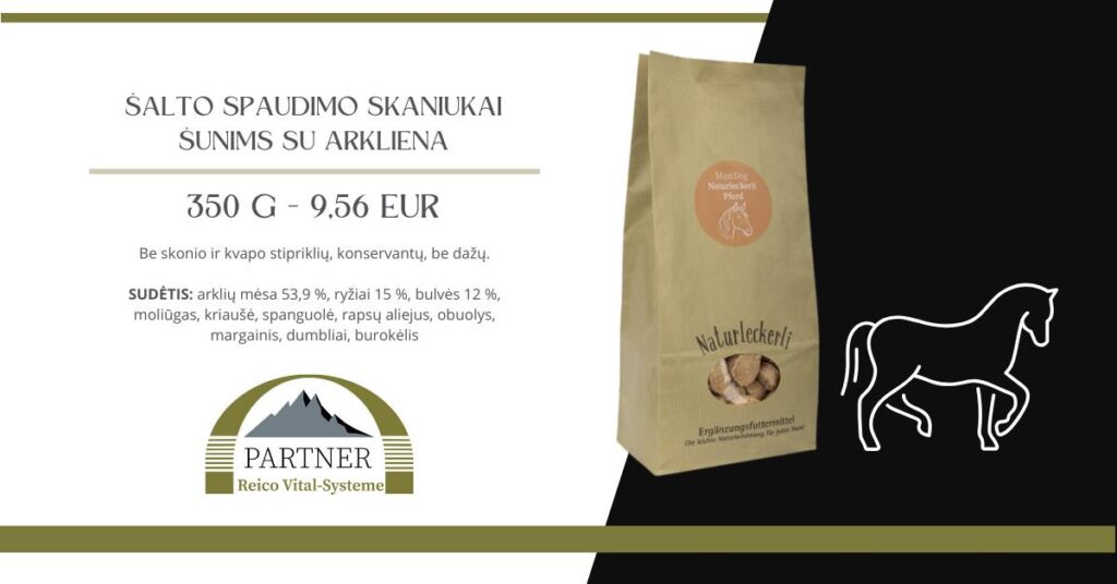 528454530_25256921927231353_9036837120147716752_n