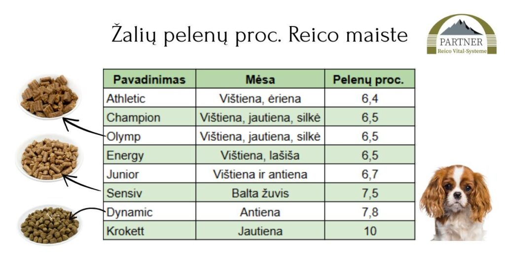 490711613_10228333364064618_977874633923597463_n